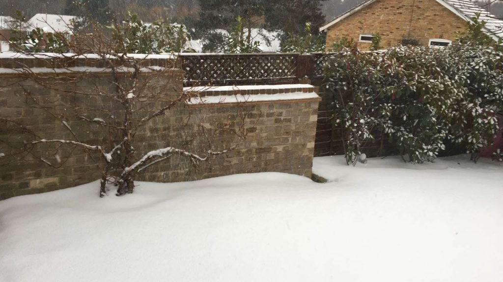 Snowy day at the Horsfield's